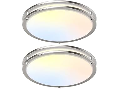 GoBright 18in LED Ceiling Lights 2-Pack