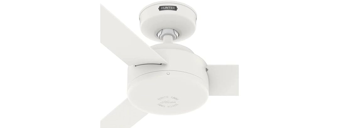 Hunter Fan 44" Indoor Fan, 3 Blades