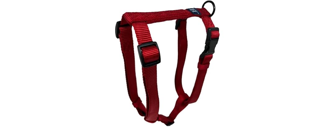 Hamilton Adjustable Comfort Nylon Dog