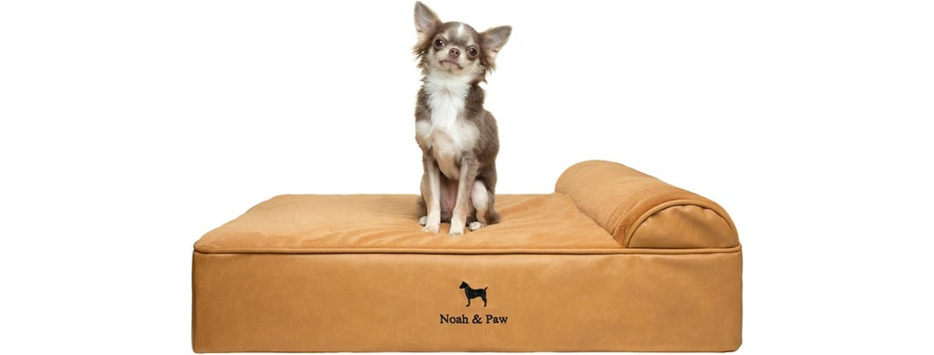 NOAH & PAW Orthopedic Dog Beds- Medium