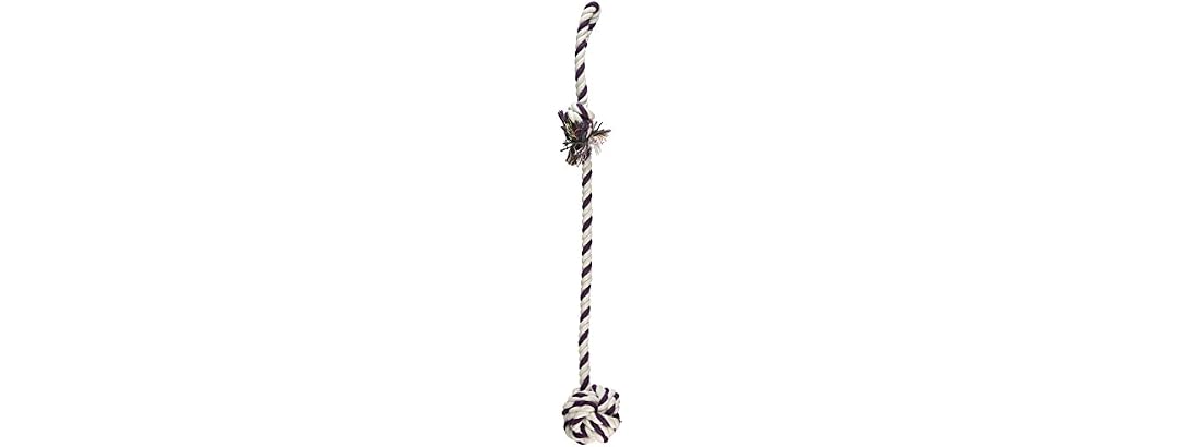 Knotted Rope Dog Toy