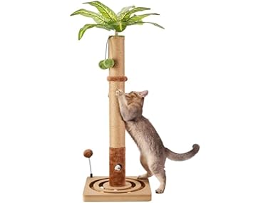MECOOL 35" Premium Cat Scratching Post
