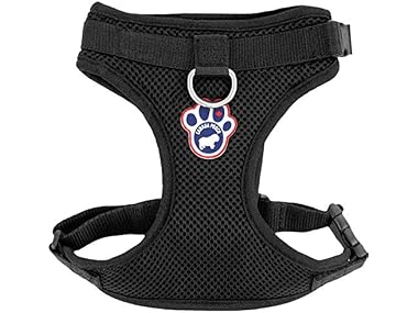 Canada Pooch Everything Dog Harness Black Mesh Medium