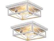 Hallway Light Fixtures for Ceiling, 2-Light