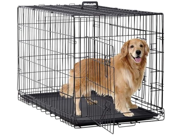 BestPet | Dog Crate | 48" | Black | Foldable Metal