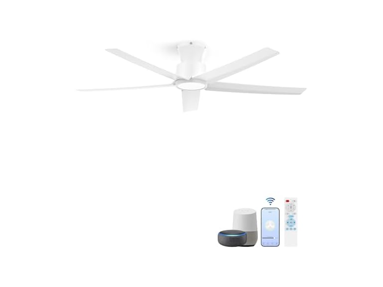 Smart Ceiling Fans