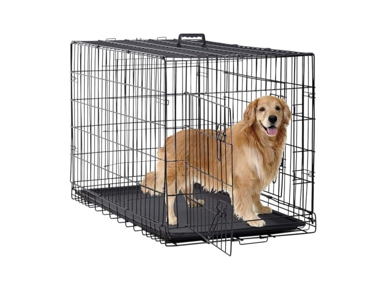 BestPet | Dog Crate | 48" | Black | Foldable Metal