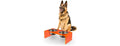 Keaton 7.5" Modern Acrylic Rectangular Elevated Pet Feeder