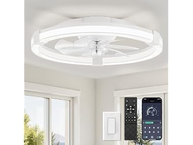 LEDIARY 20" Low Profile Ceiling Fan
