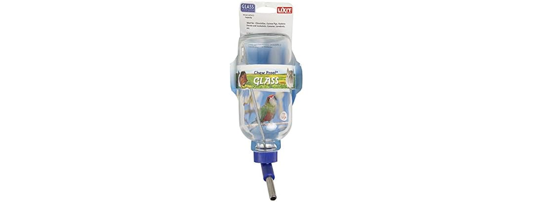 LIXIT Chew Proof Glass Water Bottle 16oz