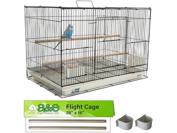 A&E Cage Co 503 Flight Cage 24"x16"x16" Small Bird