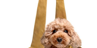 Noah & Paw Ruffle Dog Carrier