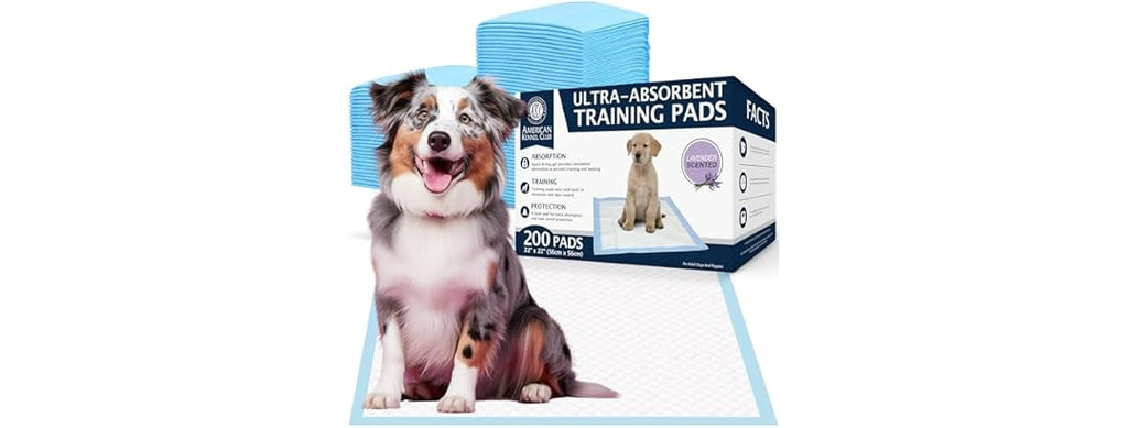 American Kennel Club Scented Puppy Training Pad