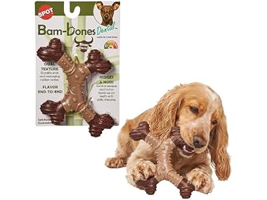 SPOT Bam-Bones Dental X-Bone Dog Chew Toy