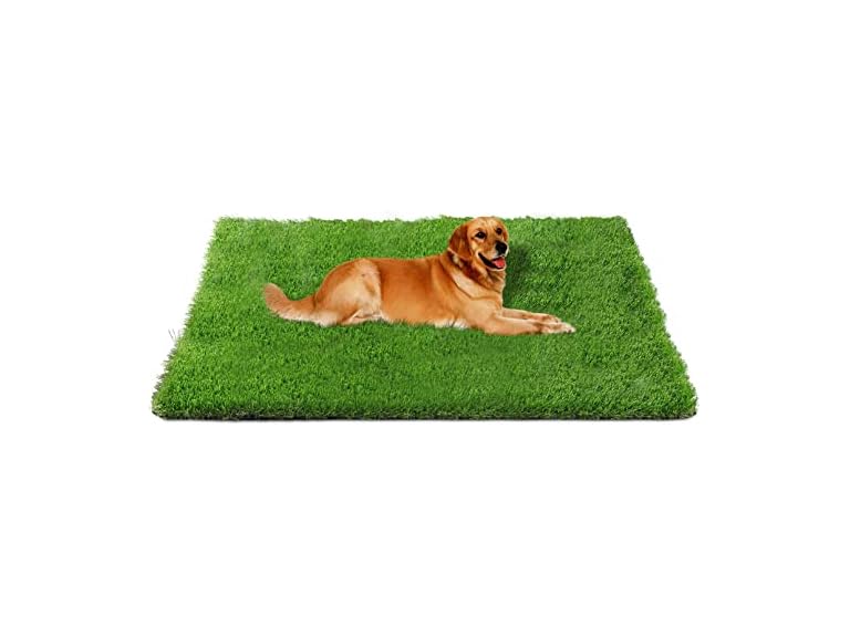 Fhiny Artificial Grass Rug
