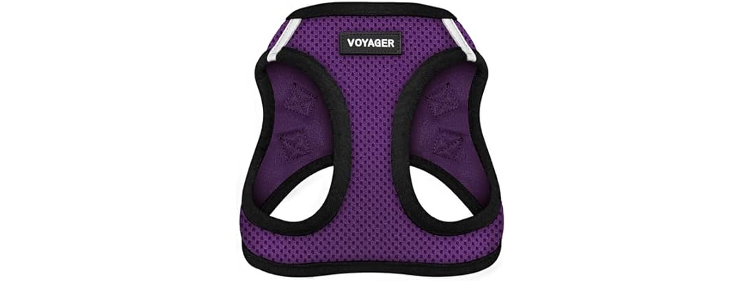 Best Pet Supplies - All Weather Mesh/Plush, Reflective Med