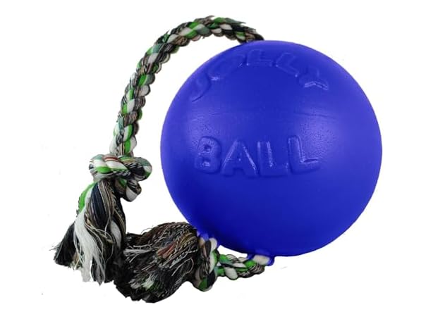 Jolly Pets Romp-N-Roll Ball Color: Blue, Size