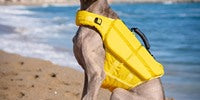 NOAH & PAW Dog Life Jacket- XLarge