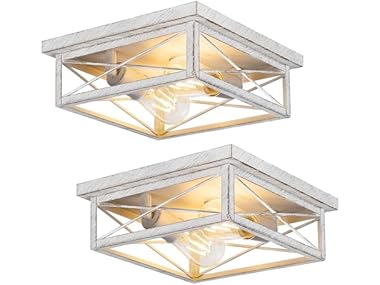 Hallway Light Fixtures for Ceiling, 2-Light
