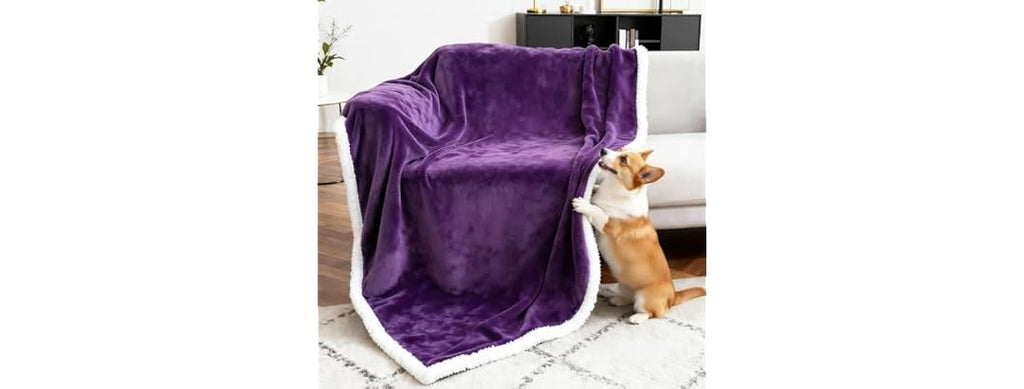 BoxZone Waterproof Dog Blanket- Purple White Large